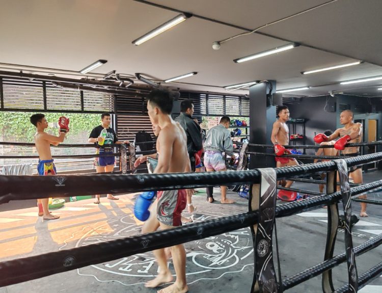 What Are the Top Muay Thai Gyms in Thailand?